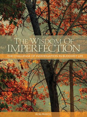 cover image of The Wisdom of Imperfection
